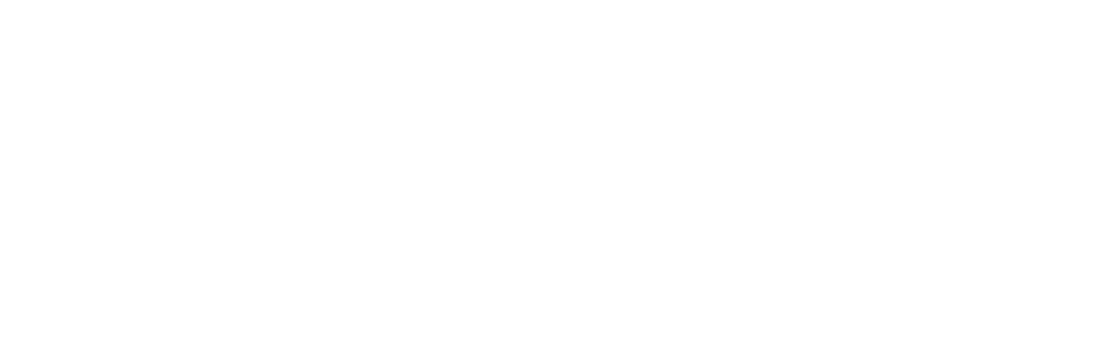 VirtuLeonarian Logo